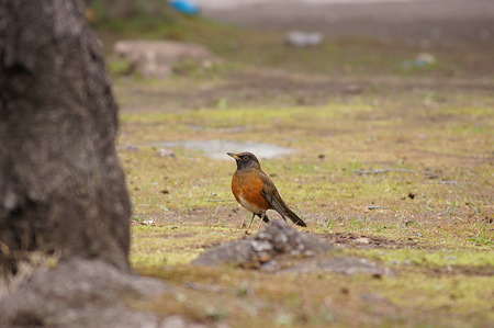DSC06980