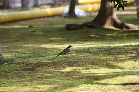 DSC07061