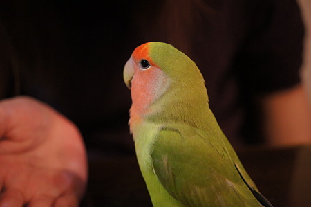 DSC09705