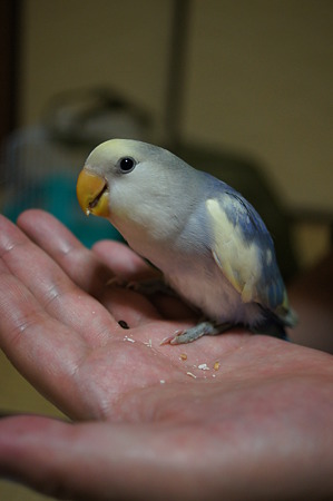 DSC00096