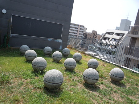 DSCN0741